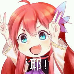 金阳县空调维修